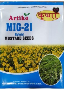 MIG-21 Hybrid Mustard